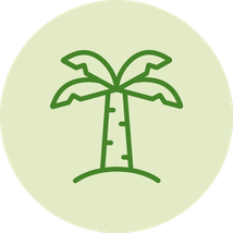 Palmfett; frei von Palmfett; Palmöl; Fette