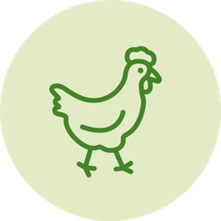 vegan ohne tierische Erzeugnisse