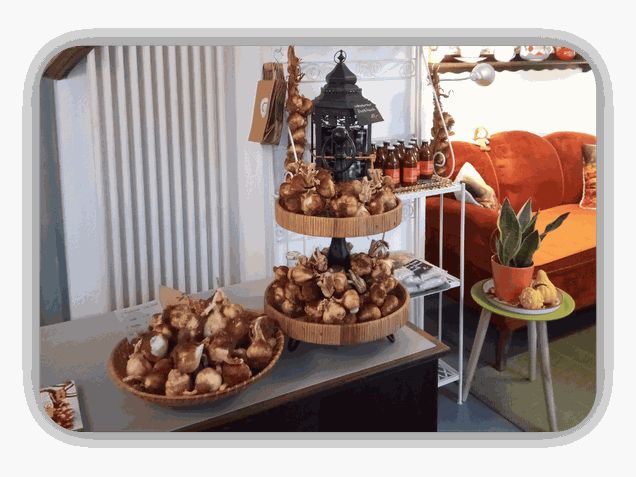 Genuss-Laden; Knoblauch; Gewürzladen; Freudenberg;