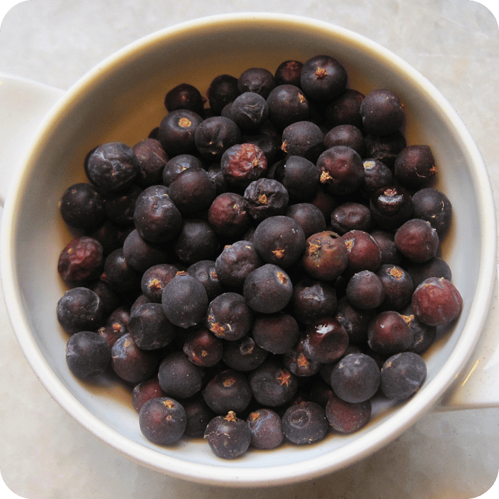 Wacholderbeeren